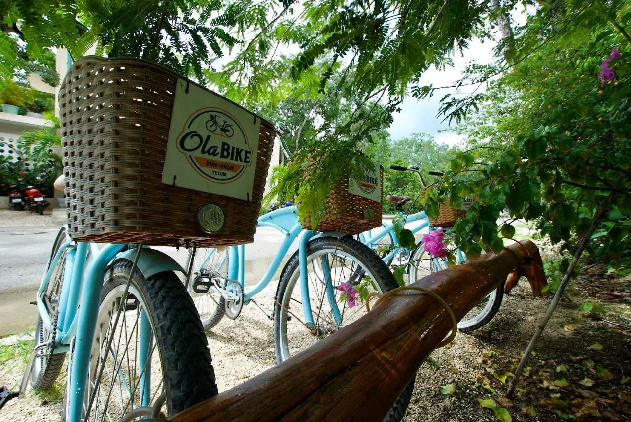 ****  Hotel Tiki Tiki Tulum México